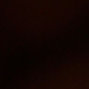 Meet your Posher, Carmen